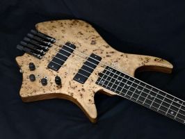 Burl Poplar top