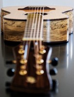 Spalted Walnut back and sides by Brice Roggero