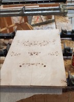 Burl poplar top