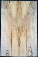 Spalted Maple Top  Christian Hasenleithner