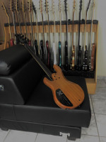 Luthier and player Fernando Giovannetti ``X-Vector Bass``  Burl Elm top