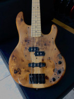 Luthier and player Fernando Giovannetti ``X-Vector Bass``  Burl Elm top