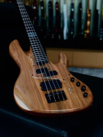 Luthier and player Fernando Giovannetti ``X-Vector Bass`` Spalted Apple