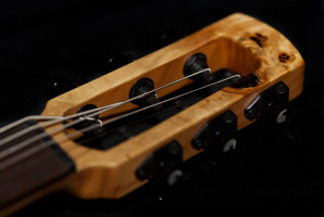 Burl poplar top   by Michel Berdah