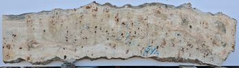 Burl Poplar cookies