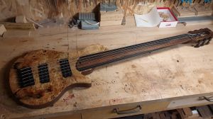 Burl Poplar top