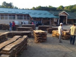 Pool Cue wood blanks &  Wood Turning Gallery