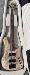 Burl Poplar top - gallucci-lutherie.com