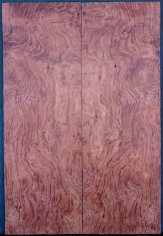 Bubinga Top