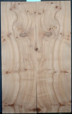 Burl Elm Top