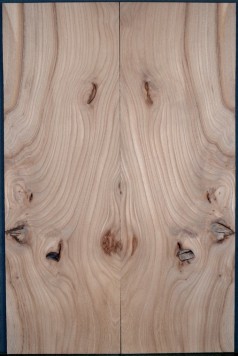 Burl Elm Top