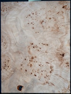 Burl Poplar 1 PC