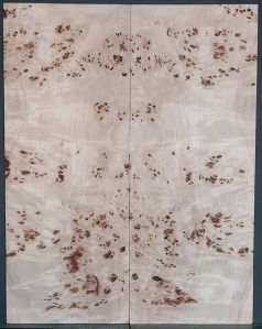 Burl Poplar Top