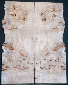 Burl Poplar Top