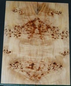 BASS Burl Poplar top