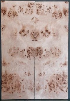 Burl Poplar CARVED Top