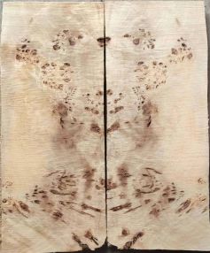 Burl Poplar tops