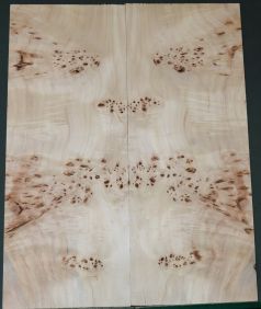 DROP TOP  AAA  PAPPEL MASER HOLZ