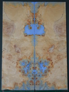 Epoxy Burl Poplar