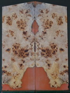 Epoxy Burl Poplar