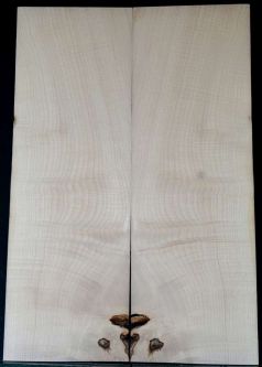 Maple Top