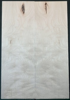 Maple Top 