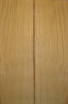 Mulberry Top