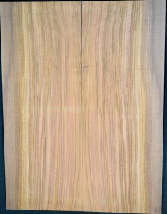 Olive Top BASS