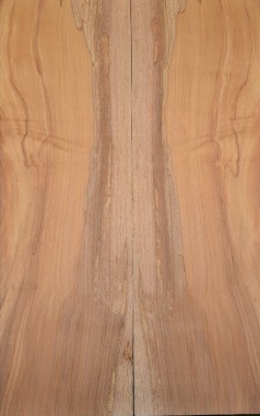 Spalted Apple Top