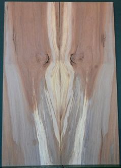 Spalted Apple top