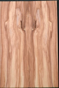 Spalted Apple Top