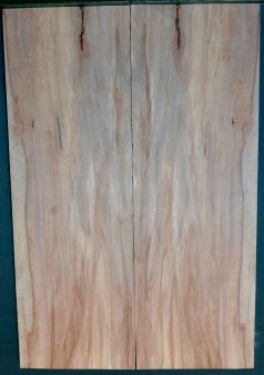 Spalted Apple top