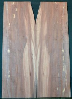 Spalted Apple top