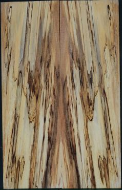 Spalted Beech