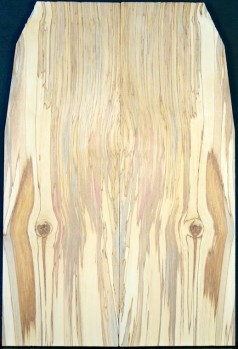 Spalted Birch Top