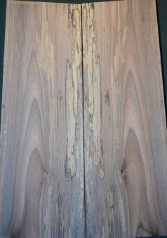 Spalted Walnut