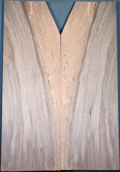 Spalted Walnut Top