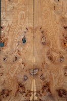 Burl Elm Top