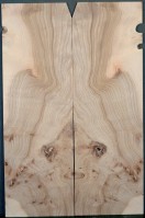 Burl Elm Top