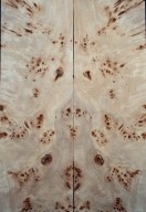 Burl Poplar Top