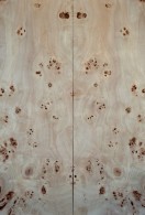 Burl Poplar Top