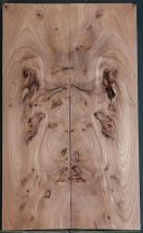 Burl Elm