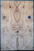 Burl Elm Top 