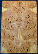 Burl Mulberry