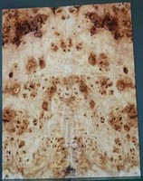 Burl Poplar Bass set