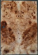 Burl Poplar