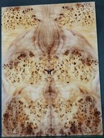 Jumbo Burl Poplar Bass set