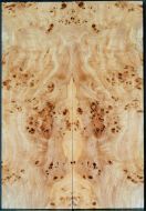 BODY TOP BURL POPLAR