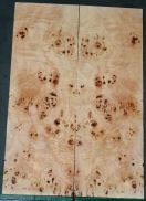 Burl Poplar top