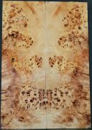 Burl Poplar top